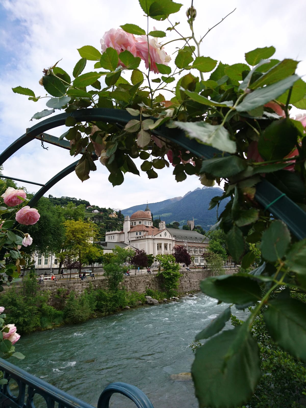 Ein Rosenbogen an der Passerpromenade in Meran, dahinter der Fluss und die Häuser der Stadt.